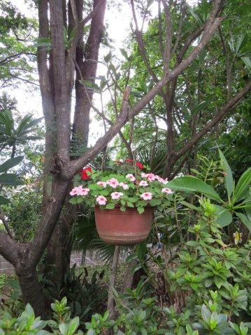 image110